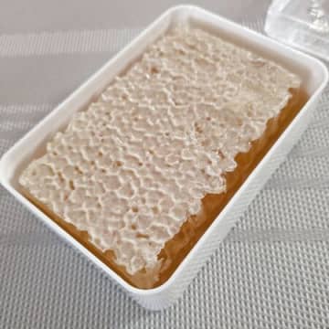 まるごと蜂の巣のハチミツでローヤルゼリーもゲット！