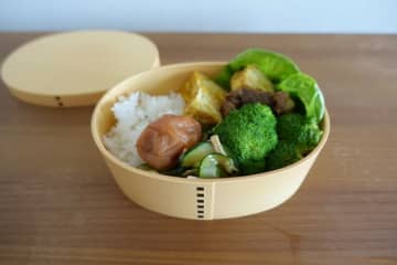 レンジOK！木の温もり×時短になる「HAKOYA（ハコヤ） 抗菌塗り曲げわっぱ一段弁当」