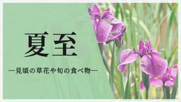 今日は二十四節気の「夏至」　この時期が見頃の草花や旬の食べ物は？
