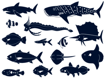 環境が変われば魚も変わる！魚たちの暮らしと生き残り戦略【眠れなくなるほど面白い 図解 魚の話】