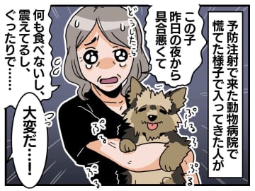 動物病院で「もうダメかも」泣き崩れたおばあさん。周りは祈る気持ちで送り出すも【衝撃の結末】が！