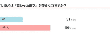 「変わった遊び」が好きな犬の実態を調査！　遊び方からわかる犬の性格の傾向を獣医師が解説