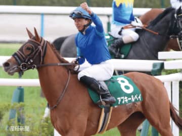 【しらさぎＳ】岩田望騎手の取り扱いに注意！？連対率100％の騎手は？騎手で見る攻略P O I N Tとは！？