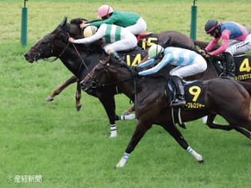 【しらさぎＳ】①②人気の牝馬は確実に来る！性別で見る攻略P O I N Tとは！？