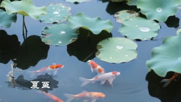 【AI壁紙】二十四節気「夏至」
