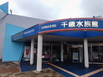 千歳川を“そのまま”観察できる「千歳水族館」の魅力を探る（千歳市）