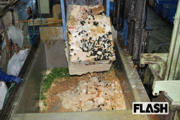 「令和のコメ騒動」の一方で「1日3～4t」廃棄米が“家畜の飼料”になっていた！　リサイクル工場に潜入