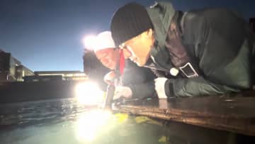 DASH海岸、海のヌシ大連発SP！ダイヤモンドに光り輝く絶滅危惧種とは！？