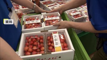 産直施設で販売されていたサクランボに“金属の棒”差した疑いで無職の寒河江孝之容疑者を逮捕　山形・東根市