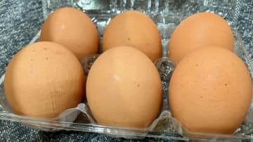 価格高騰の『卵』をお得に使う秘訣は「料理に合わせたサイズ選択」“卵博士”が教える食中毒を防ぐ保存方法