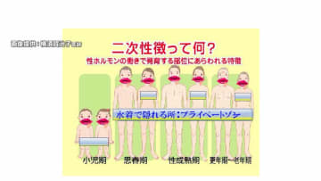 自分や相手の権利を守るために…全国でも数少ない“踏み込んだ”性教育の授業を取材「プライベートゾーン」「避妊の重要性」などを説明