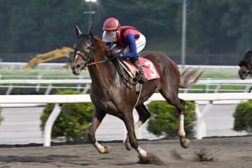 【高知・御畳瀬特別】ユメノホノオが3馬身差で快勝！韓国遠征明けも貫禄の連覇達成