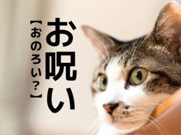 【お呪い】は「おのろい…？」ではありませんよ！まさかな読み方とは！【読めそうで読めない漢字クイズ】