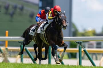 【新馬/東京5R】良血モノポリオがデビューV…クロワデュノール弟は9着