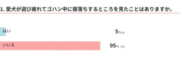 【調査】「ゴハン中に寝落ちする」犬はいるの？飼い主さんの体験談とは