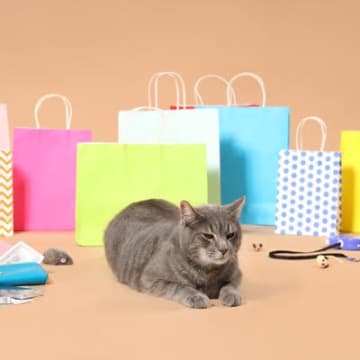 猫の飼い主さんが『買わなきゃよかった…』と後悔しがちな猫アイテム4選