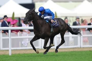【英ハードウィックS】レベルスロマンスが圧巻V…アルリファーは2着