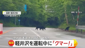 【独自】「クマー！」軽井沢を運転中に“ツキノワグマの親子3頭”　専門家「刺激を与えずに距離を空けて」遭遇時の対処法を解説　長野
