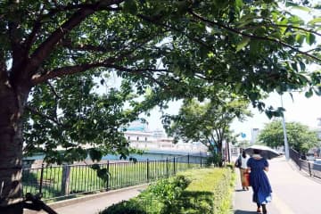 梅雨らしからぬ酷暑、高まる熱中症リスク　横浜では6月末にかけて最高気温30度前後