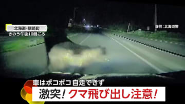 激突！クマ飛び出し注意！20代女性が運転する車はボンネットが波打つように大破し自走不可能に　北海道・釧路町
