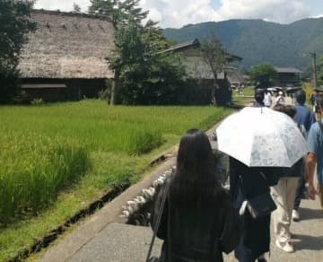 小学校の尿検査での要再検査から病気が判明。長期的に治療が必要な病気が見つかる【全身性エリテマトーデス・体験談】