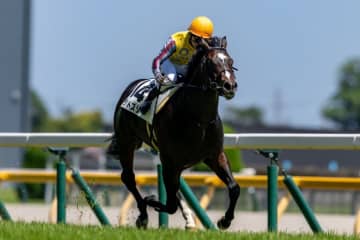 【新馬/東京6R】伏兵ランドスターが波乱を演出