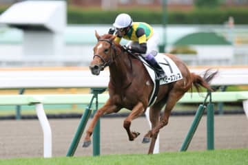 【函館1R】武豊ベビーズブレスが人気に応えて逃げ切り
