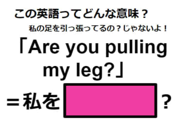 この英語ってどんな意味？「Are you pulling my leg?」
