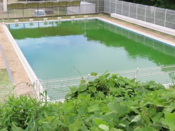 45歳男性『スクール水着』で休日の学校のプールを満喫　学校関係者が目撃しコメント殺到「学校関係者もまさかこんなもん見るとは思わなかっただろうねw」「いろんな性癖があって正直驚いている」