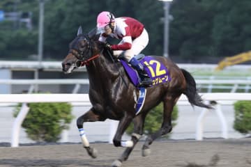 【高知優駿】ジュゲムーン完勝で高知三冠に王手