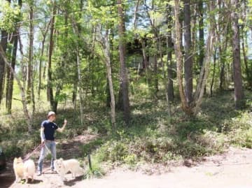 私がドッグランの芝生化を頑張る理由【穴澤賢の犬のはなし】