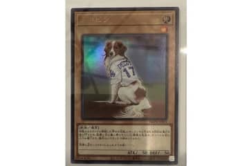 大谷、まさかの報告「俺のターン」　愛犬デコピンが超レアな遊戯王カード化「幸せの天使」
