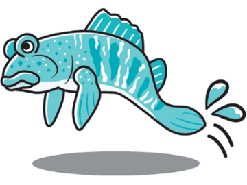 エラじゃなくて肺呼吸もできる？ 陸に上がれるレアな魚【眠れなくなるほど面白い 図解 魚の話】