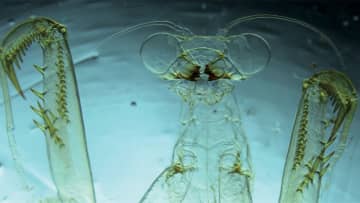 第8回「サイエンスフォトコンテスト」開催決定。科学の不思議や驚きを表現する写真作品を募集