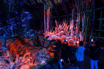 異世界…日本最古の植物園で「光×音」夜イベント、来年３月まで