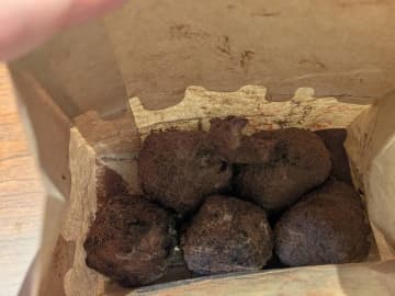 ファン待望のうどーなつ「チョコ味」が丸亀製麺に帰ってきた！「いちごみるく味」と食べ比べ♡