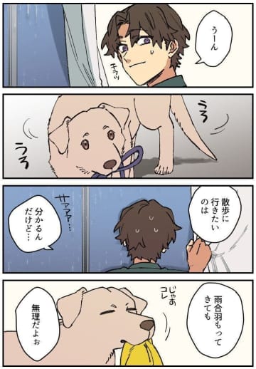 連載漫画【暮瀬姉弟と吉田くん】第三百五十四「吉田くんと大雨」