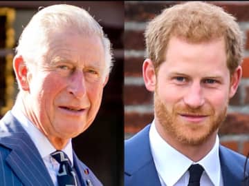 ヘンリー王子が不仲の父チャールズ国王に和解の申し出　兄ウィリアム皇太子は弟のことを話しもしないと関係者