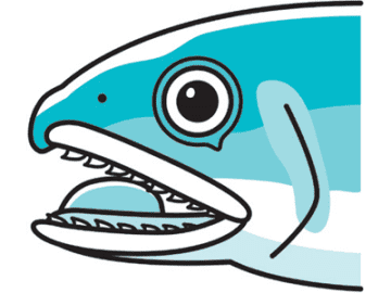 角質を食べるドクターフィッシュは雑食！？ 魚の食性は4タイプある【眠れなくなるほど面白い 図解 魚の話】