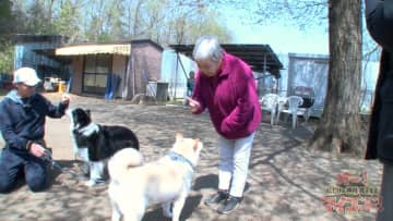 吠え癖、逃げ癖、引っ張り癖…ワンちゃんたちのあらゆるお悩みを犬の目線で神・訓練士が解決！