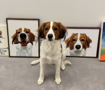 大谷翔平の愛犬デコピンが"遊戯王カード化”！？　KONAMIの本気…大谷翔平へ贈られた激レアカードにファン驚愕　