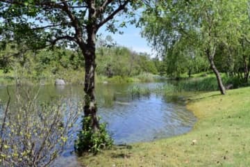 夏の自然にふれよう！昆虫類の観察会＆紙すきワークショップ☆木の岡ビオトープ「夏の自然観察会」