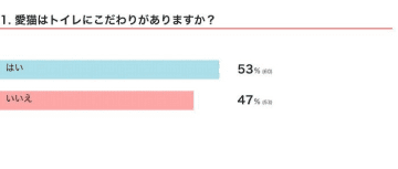 「トイレにこだわりがある猫」の特徴は？　愛猫に快適なトイレ環境を提供する工夫を獣医師が解説！
