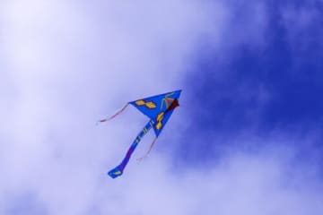 世界120ヵ国から凧が大集合！東近江大凧会館で夏休み特別企画「万国凧覧会」が開催★【7月19日〜8月31日】