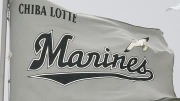 【6月25日プロ野球公示】ロッテがサモンズの一軍登録を抹消