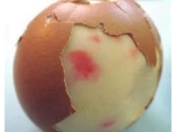 ピンクの卵は食べないで！　かわいい見た目に潜むリスク