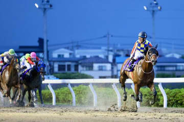【さきたま杯】シャマルが鮮やかな逃げ切りV…交流G1・3勝目