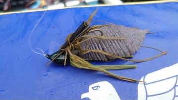 「食べている餌はこんな感じ…」三島湖はスピンテールサイトがアツい！ナイスサイズもジグでキャッチ！