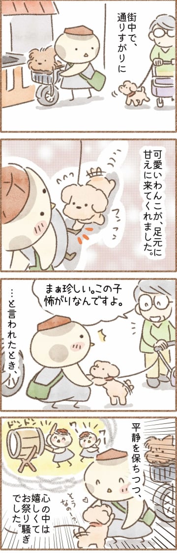 犬に好かれる喜び！怖がりわんことの心温まるエピソード｜連載「こぐま犬てんすけ」vol.289