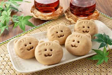 和菓子の「あわしま堂」、愛媛県産はだか麦を使ったお饅頭「ねこのむぎちゃん」7月1日新発売！ミルク風味あんとチョコが溶け合うやさしい味わい